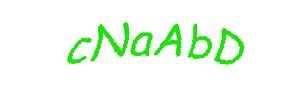 عبارت امنیتی