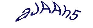 عبارت امنیتی