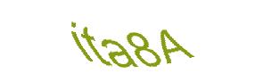عبارت امنیتی