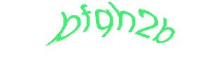 عبارت امنیتی