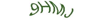 عبارت امنیتی