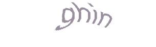 عبارت امنیتی
