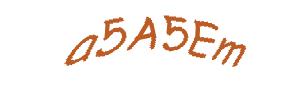عبارت امنیتی
