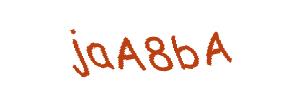 عبارت امنیتی