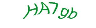 عبارت امنیتی