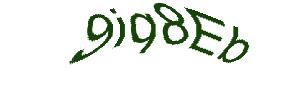 عبارت امنیتی