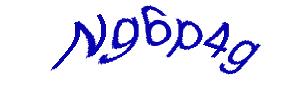 عبارت امنیتی