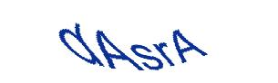 عبارت امنیتی