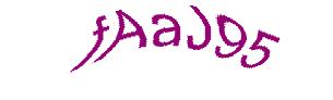 عبارت امنیتی