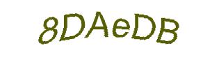 عبارت امنیتی