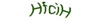 عبارت امنیتی