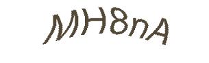 عبارت امنیتی