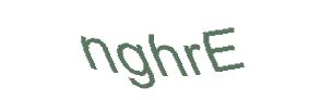 عبارت امنیتی