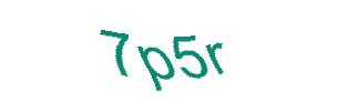 عبارت امنیتی