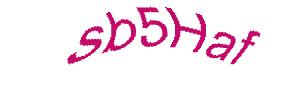 عبارت امنیتی