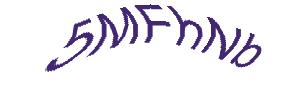 عبارت امنیتی