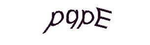 عبارت امنیتی