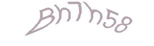 عبارت امنیتی