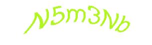 عبارت امنیتی
