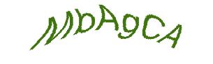 عبارت امنیتی