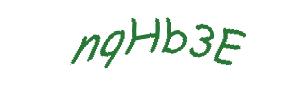 عبارت امنیتی