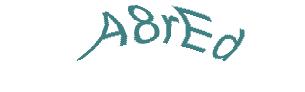 عبارت امنیتی