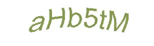 عبارت امنیتی