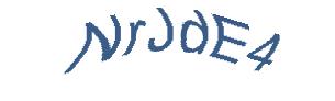 عبارت امنیتی