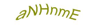 عبارت امنیتی