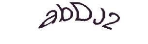 عبارت امنیتی