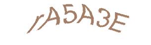 عبارت امنیتی
