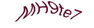 عبارت امنیتی