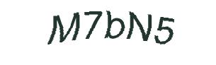 عبارت امنیتی