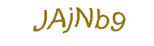 عبارت امنیتی