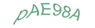 عبارت امنیتی