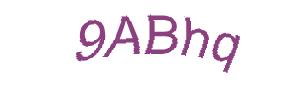 عبارت امنیتی
