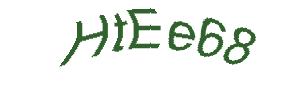 عبارت امنیتی