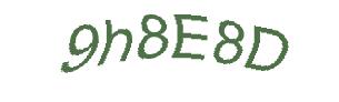 عبارت امنیتی