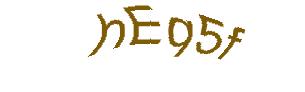 عبارت امنیتی