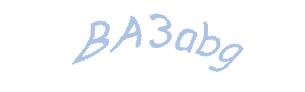 عبارت امنیتی
