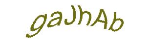 عبارت امنیتی
