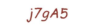عبارت امنیتی