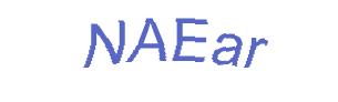 عبارت امنیتی