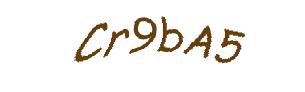 عبارت امنیتی