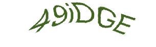عبارت امنیتی