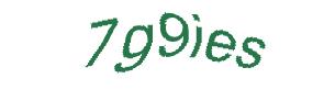 عبارت امنیتی