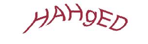 عبارت امنیتی