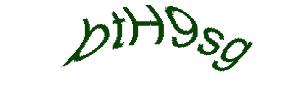 عبارت امنیتی