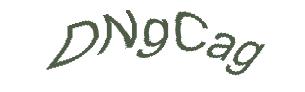 عبارت امنیتی