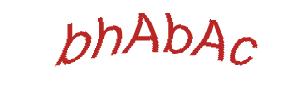 عبارت امنیتی